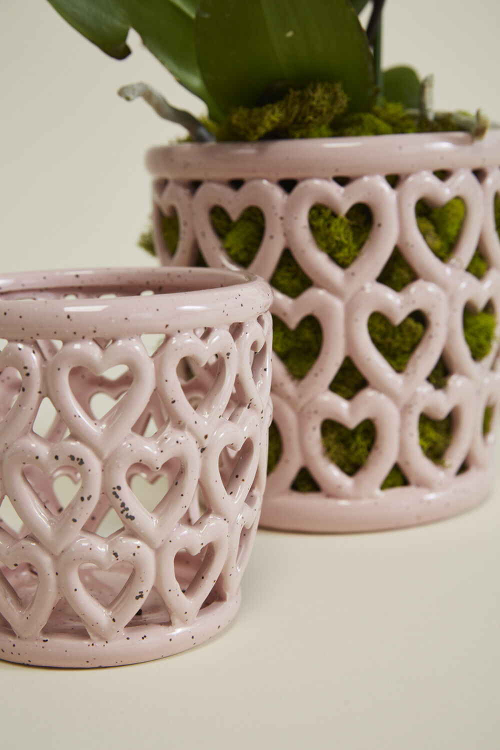 Cherished Hearts Orchid Pot